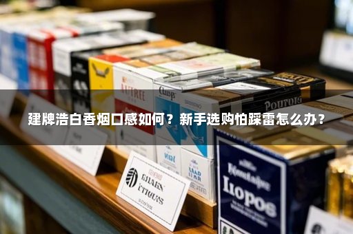 建牌浩白香烟口感如何？新手选购怕踩雷怎么办？